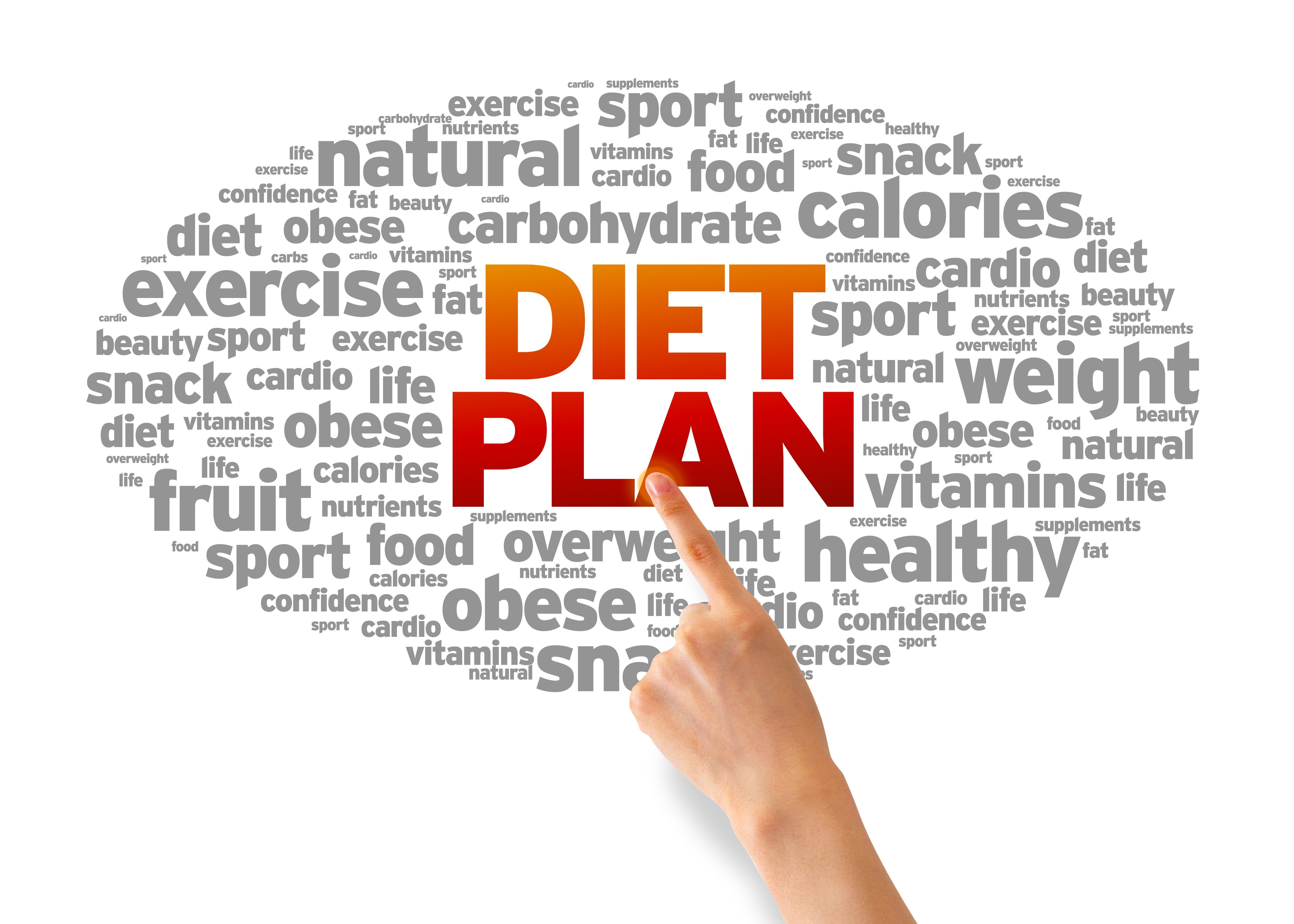 14841147_xxl DIET PLAN